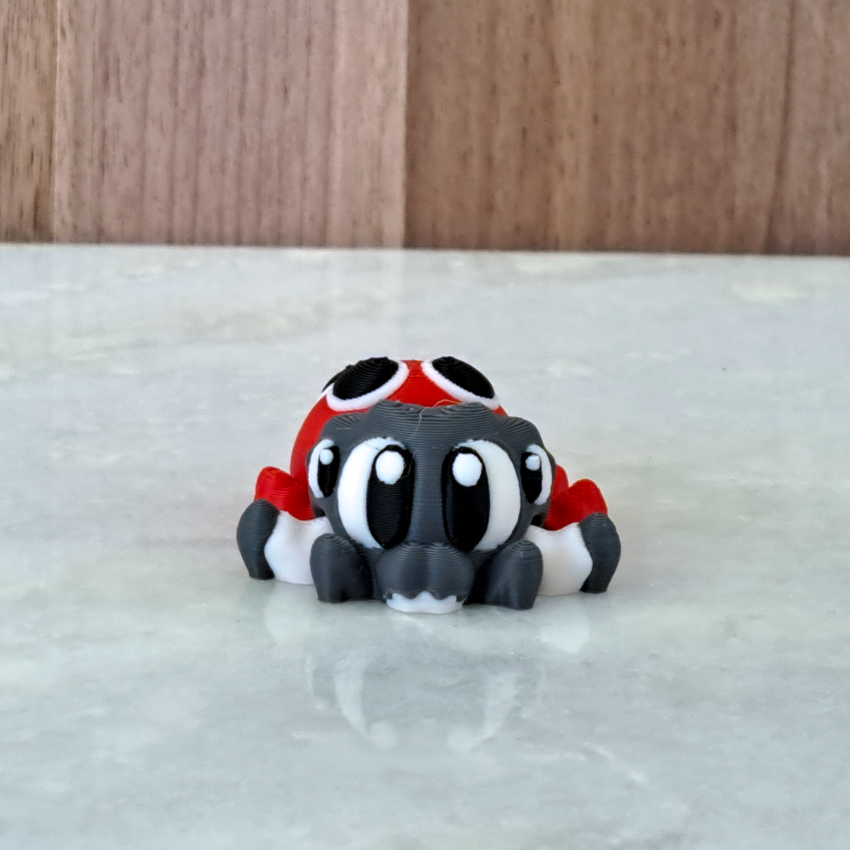 Araignée coccinelle