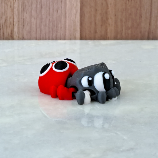 Araignée coccinelle