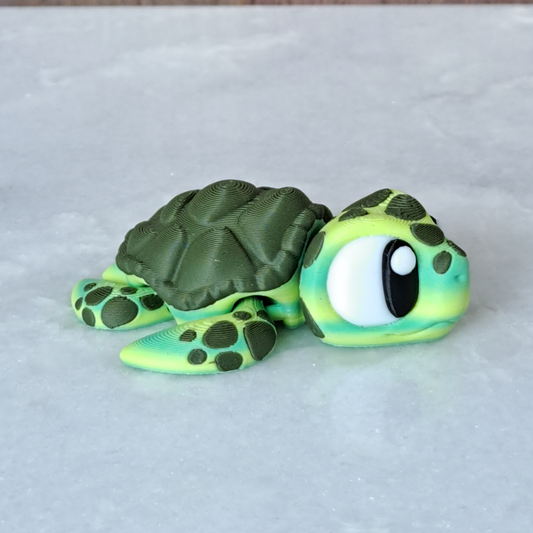 Tortue Marine Verte