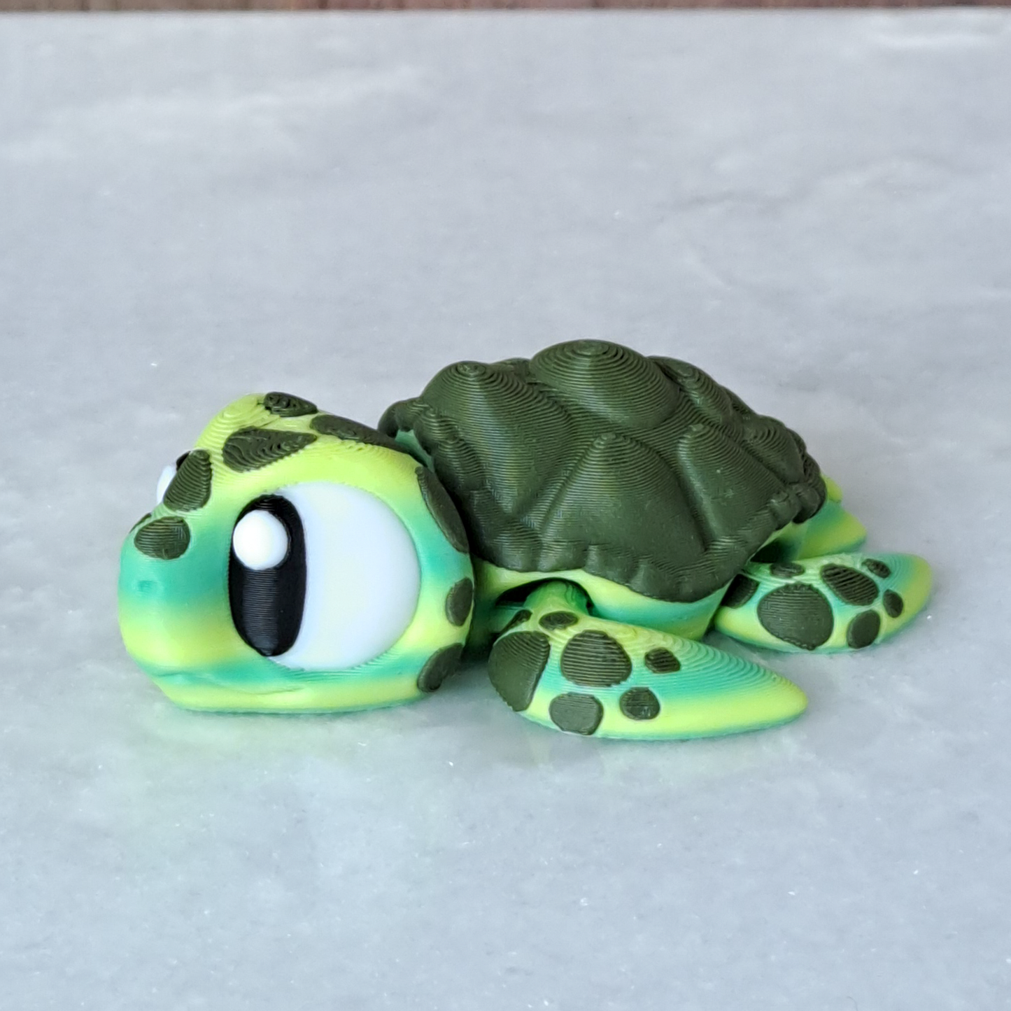 Tortue Marine Verte