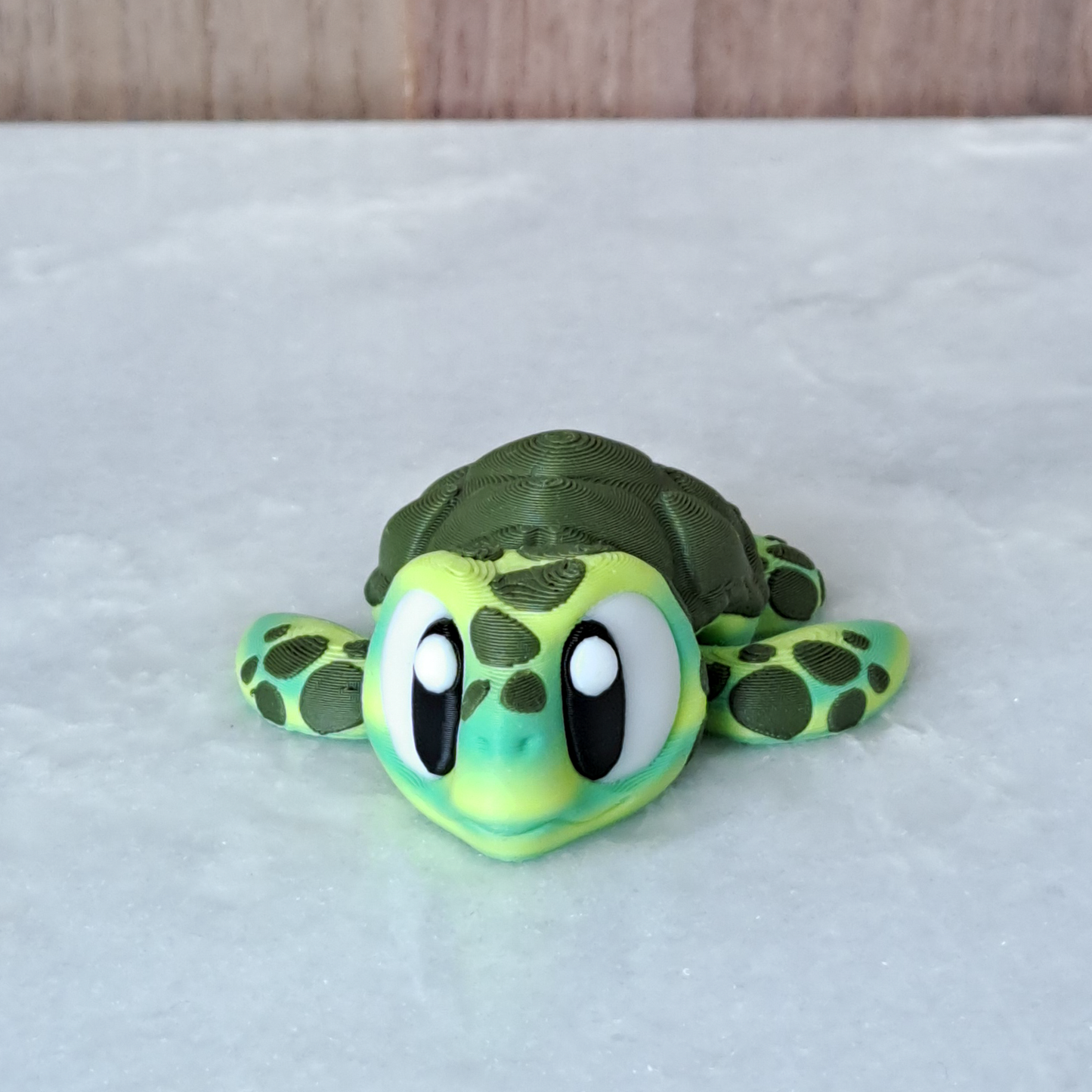 Tortue Marine Verte